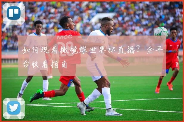 如何观看橄榄球世界杯直播？全平台收看指南