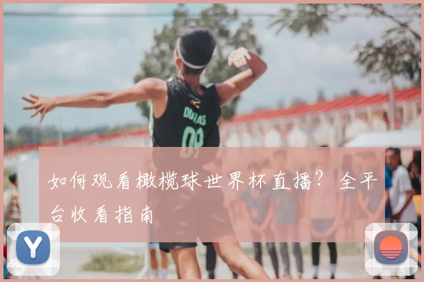 如何观看橄榄球世界杯直播？全平台收看指南